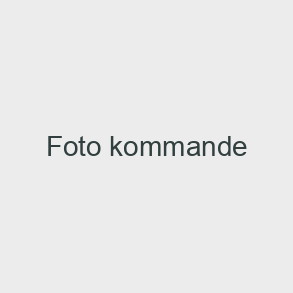Rostfria Stinons bakar A2.