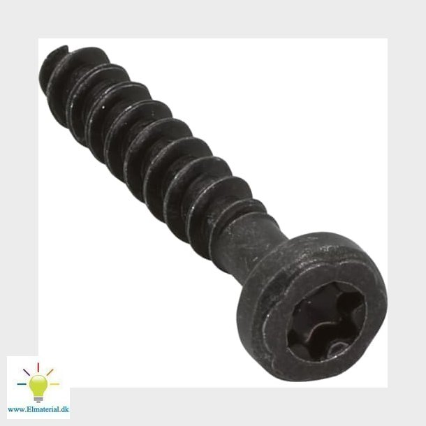 Fuga Skrue Torx 10 med spids til tekniske rammer