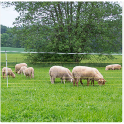 Ulvehegnsnet Til Beskyttelse Af Fr  Horizon Super