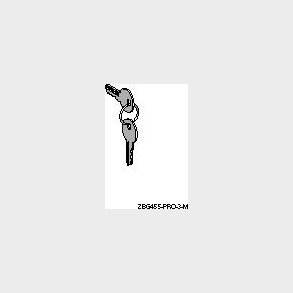 N&iquest;gle Nr.: 455 I Bestyttelseskappe