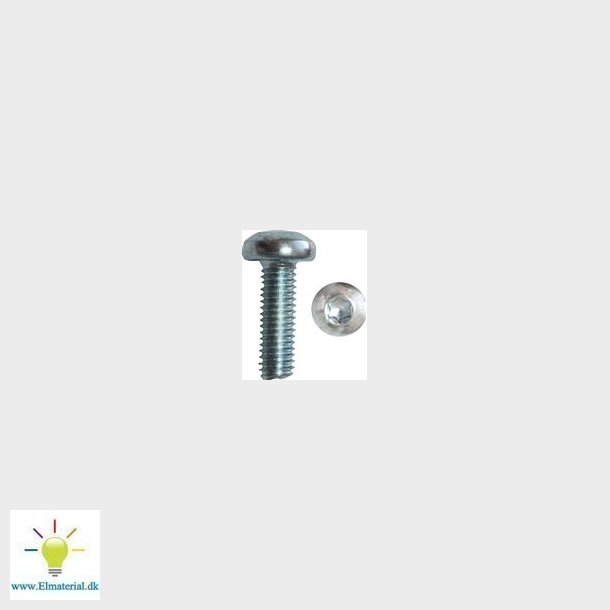 G&auml;ngad skruv 3X5Mm Ph T10 Elfz Din7500