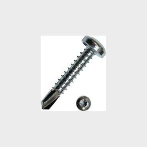 Pladeskrue 3,9X25Mm Torx15 Med Borespids
