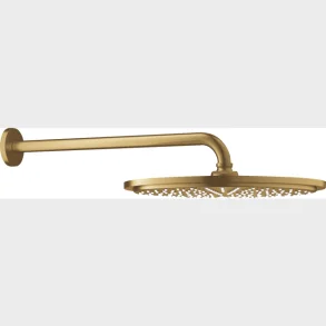 Rainshower Cosm Head Shower Set 26066Gn0