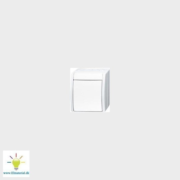 Ocean Correspondence Switch 10A Vit