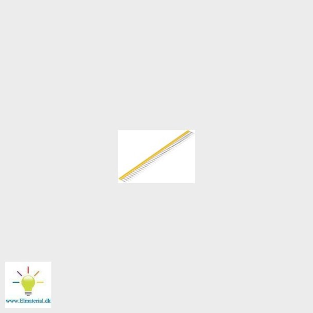 Laske  Zqv  4N/41  41P 175827