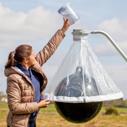 Voss.Farming "Tabanus-Trap" Hstbromsflla