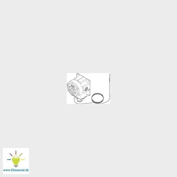 Termost.(-4+163Gr)Raystat Ex 02