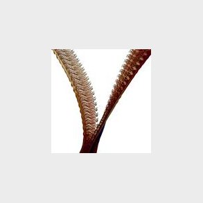 Velcro Dual Lock Tape Klar