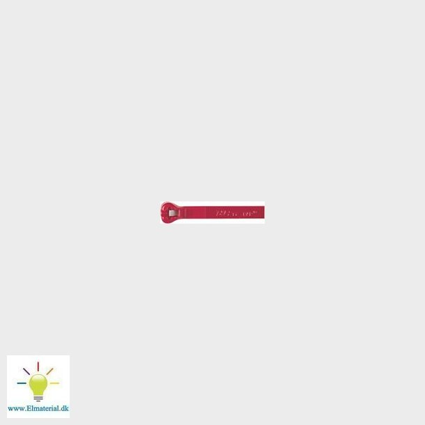 Binder R&iquest;d 2,4X100Mm (1000)