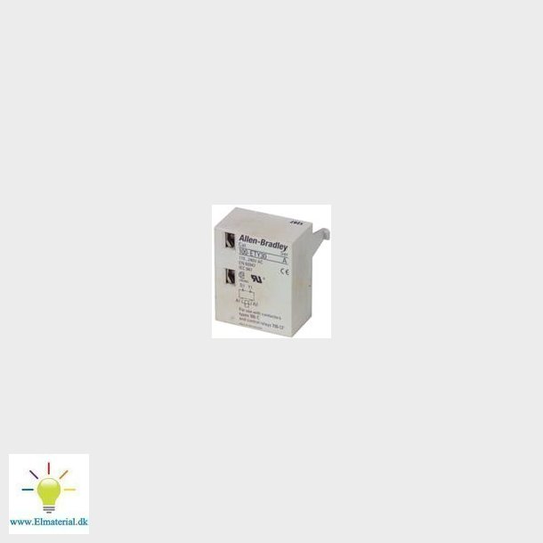 Elekt.Timer 100-Ety30 Y/D 30 S