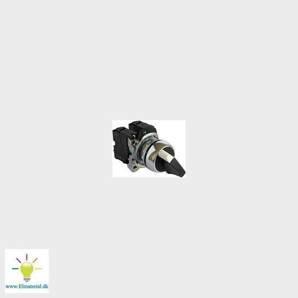 Switch,Metal 2Pos M/No+Nc