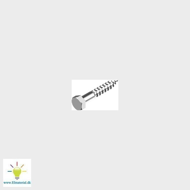 Fransk Skrue M6X100Mm A4 Sw10 Din 571