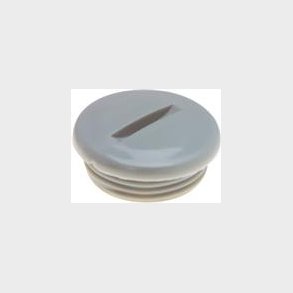 Blindprop M25X1,5         Pa