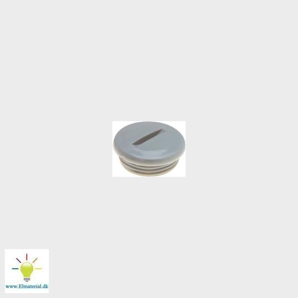 Blindprop M25X1,5         Pa