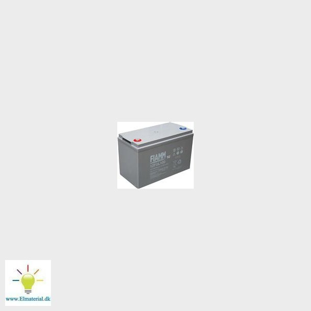Fiamm Blybatteri 12V/100Ah