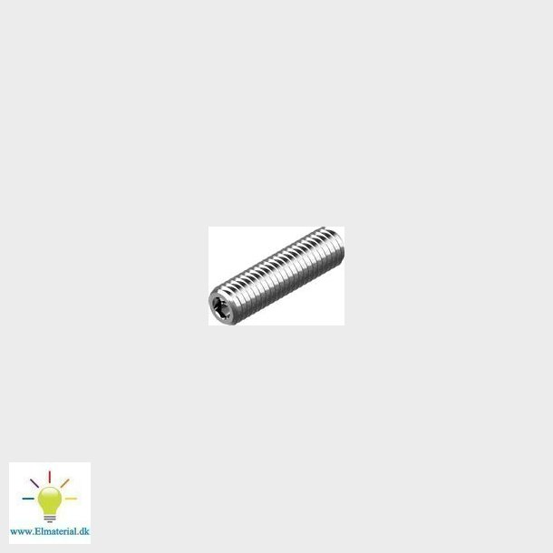 Pinolskrue M4X6Mm A2 Indv.2Mm Din 916