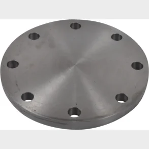 Blindflange 48,3Mm  Pn10-40 P250Gh