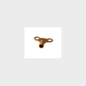 Roth-nyckel fr shuntenhet