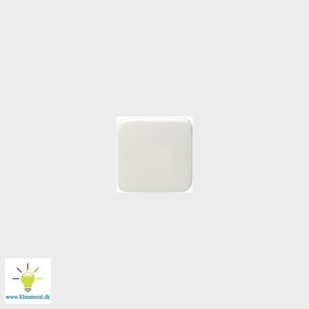 Afbryder (Afdkn.) Enkelt Hvid