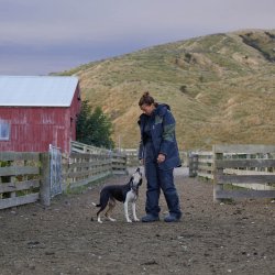 ISO940 dame overbukser - sort