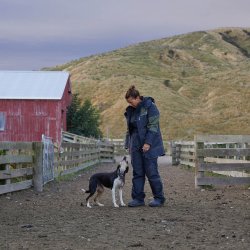 ISO940 Dame Bib Overbukser - Sort