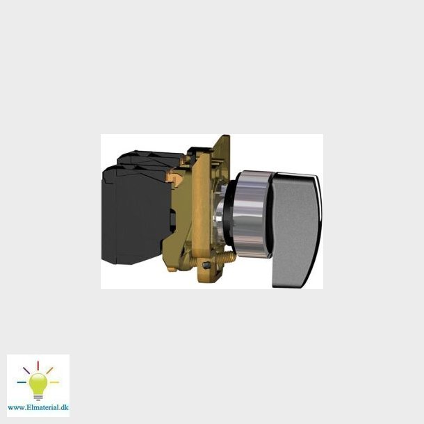 Afbryder,Dreje 2-St.    Xb4Bj21