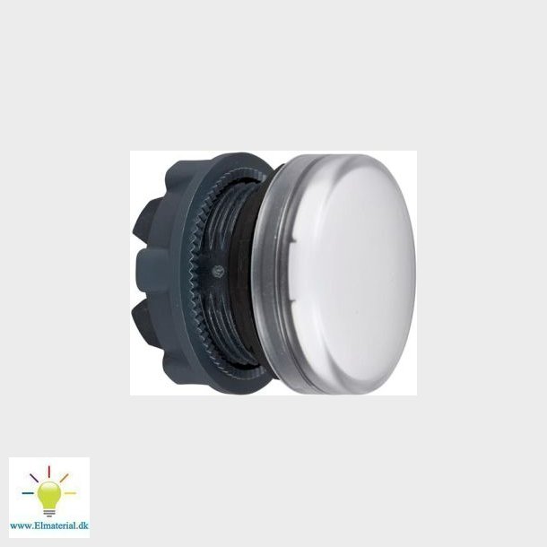 Lamphuvud Hv.Gldelp. Zb5Av01