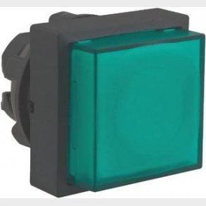 Lampetr.Hoved Gr. Oph. Zb5Cw133