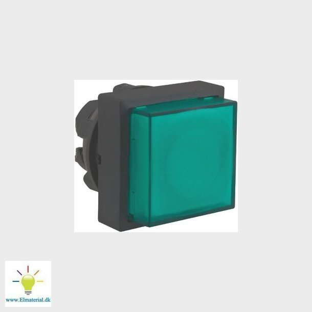 Lampetr.Hoved Gr. Oph. Zb5Cw133