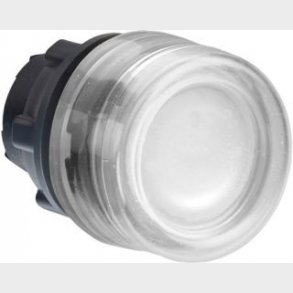 Lampetr.Hoved Hv.Fors. Zb5Aw513