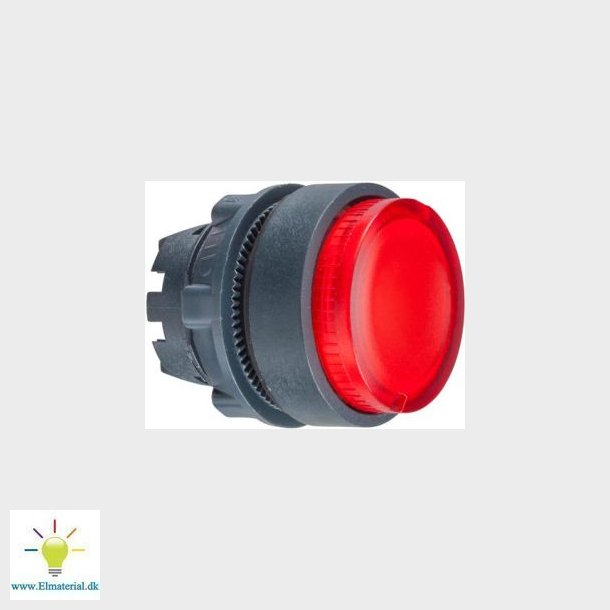 Lampniv. Head Red Oph. Zb5Aw143