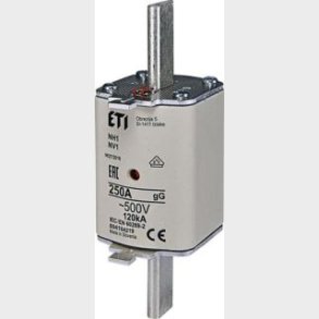 Säkring Nh1 250A Gg 500V