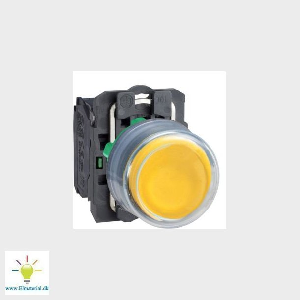 Tryk Plan Gul           Xb5Ap51