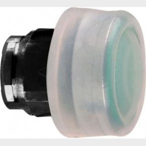 Tryckknapp W / Coat Green Zb4Bp387