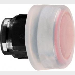 Tryckknapp W / Coat Röd Zb4Bp487