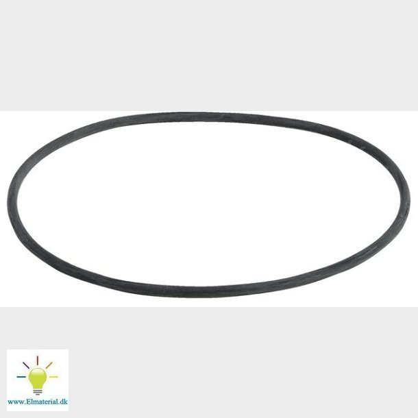 Advantix / Flood Shutter O-Ring