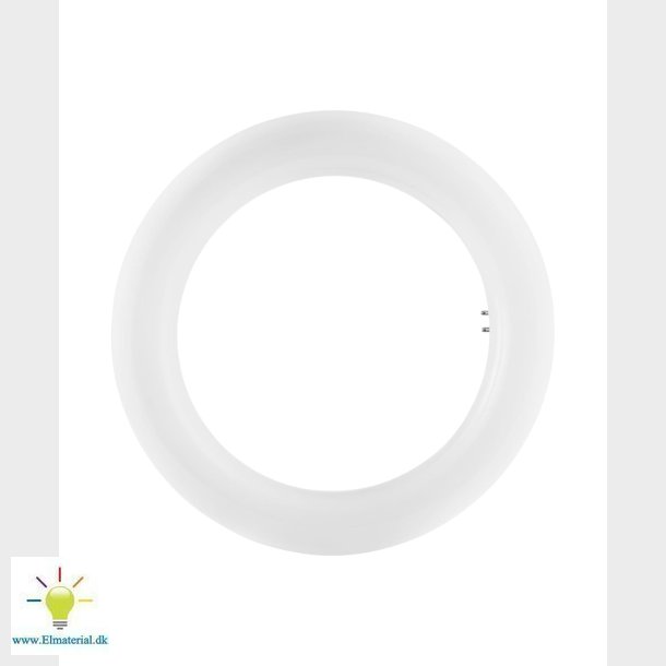 Led Rr T9 Cirkel 20W/840