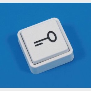 Uttryck med nyckelsymbol vit