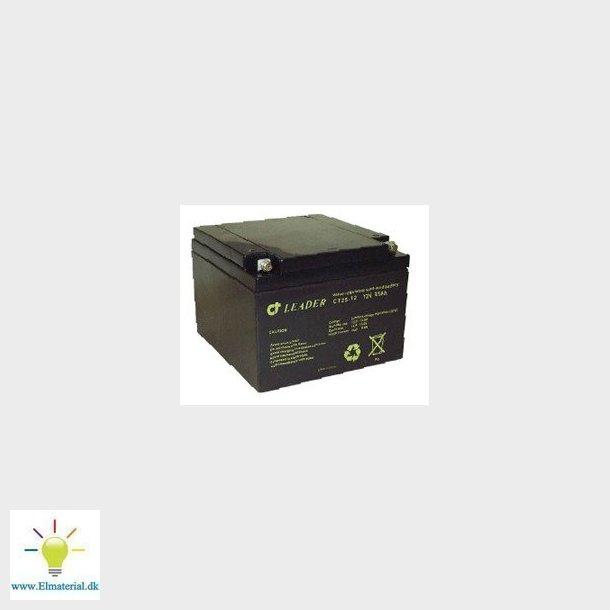 Blybatteri 12V-25AH 175X166X125