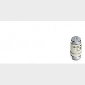 Sikring D02 50A GL/GG