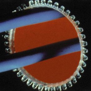 Kantb�nd 0,9-1,6mm RL30,5M