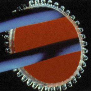 Kantb�nd 1,6-2,5mm RL30,5M