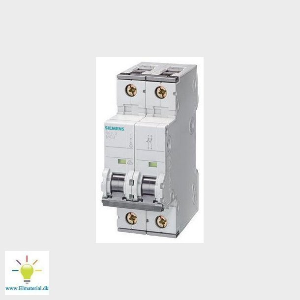 Automatsikring 6Ka 2P C 6A 5Sy6206-7