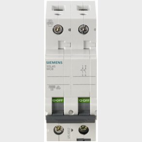 Automatsikring 230V 10KA 1+N-P C 2A