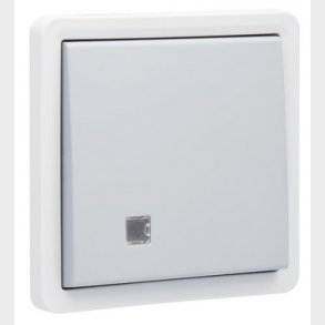 Afbryder med linse, 2-polet, IP55, gr�