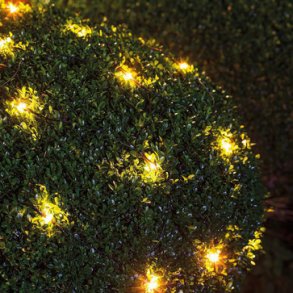 Top-Line Net 100 Lys - Starts�t 2020-model