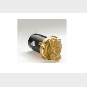 Ecowatt 1 * 230V pump