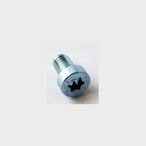 100 Insexskruv, torx, l�gt huvud 3101-0610Q1