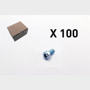 100 Insexskruv, torx, l�gt huvud 3101-0812Q1
