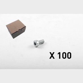 100 Insexskruv, torx, l�gt huvud 3101-0612Q1